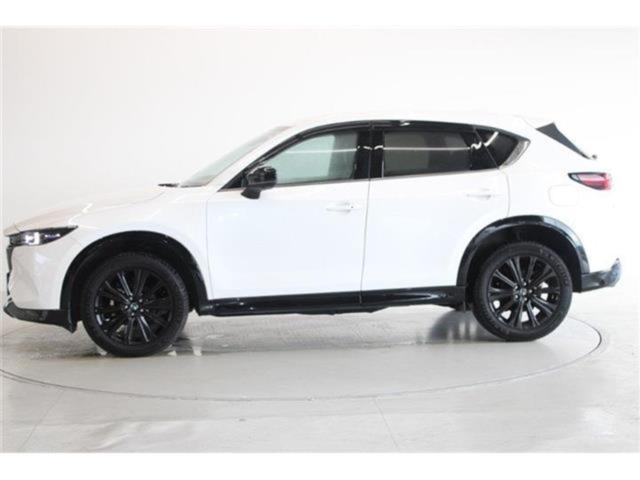 CX-5（新潟県新潟市東区）画像10