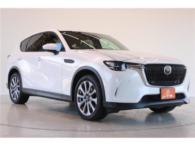 CX-60（新潟県新潟市東区）画像7