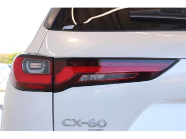 CX-60（新潟県新潟市東区）画像20