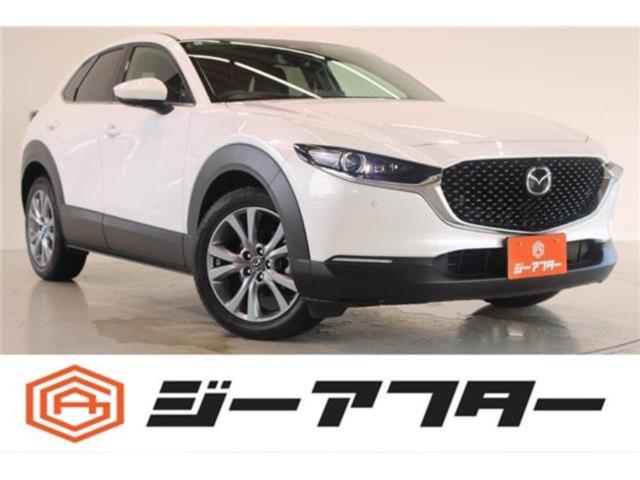 ＣＸ－３０（新潟県新潟市東区）