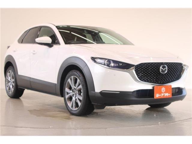 ＣＸ－３０（新潟県新潟市東区）