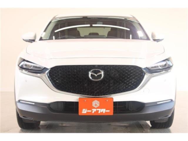 ＣＸ－３０（新潟県新潟市東区）