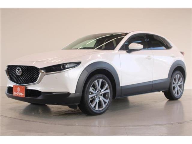 ＣＸ－３０（新潟県新潟市東区）
