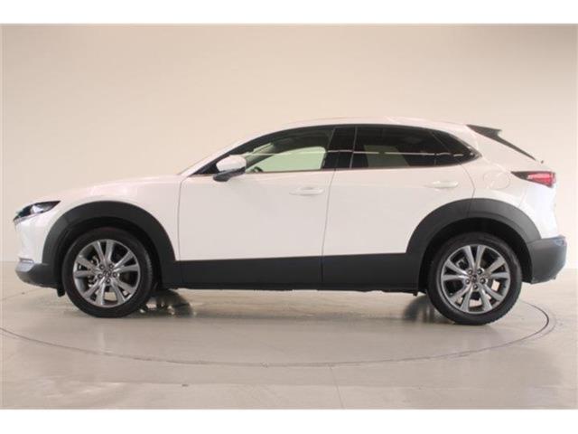 ＣＸ－３０（新潟県新潟市東区）