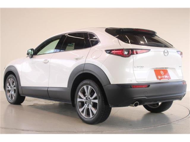 ＣＸ－３０（新潟県新潟市東区）