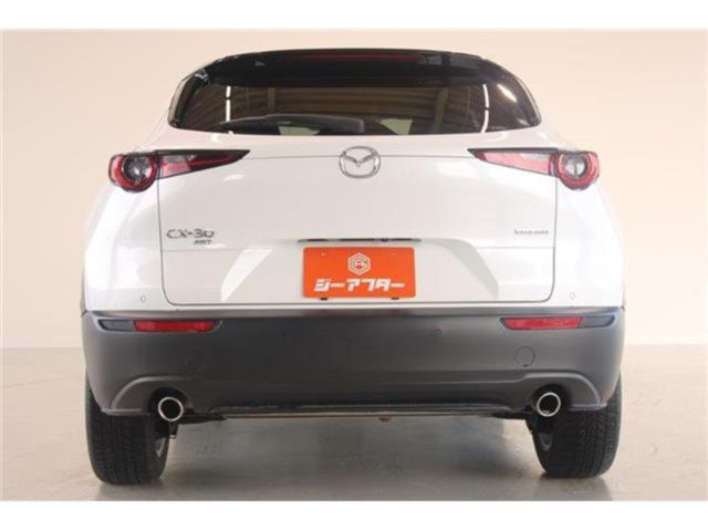 ＣＸ－３０（新潟県新潟市東区）