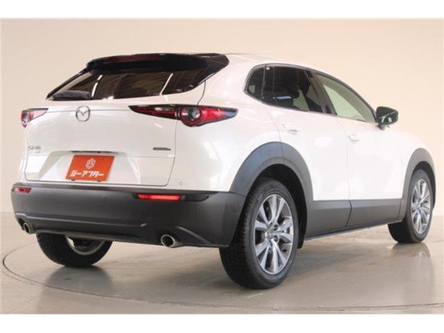 ＣＸ－３０（新潟県新潟市東区）
