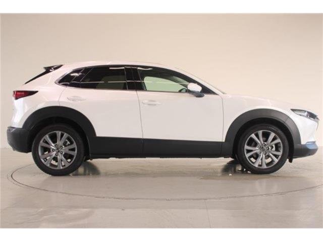 ＣＸ－３０（新潟県新潟市東区）
