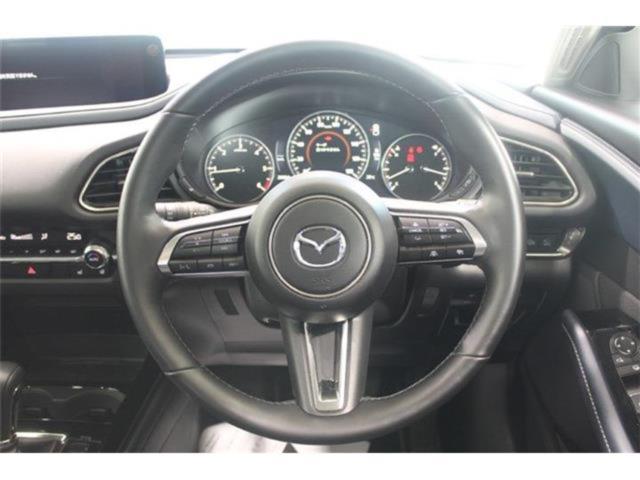 ＣＸ－３０（新潟県新潟市東区）