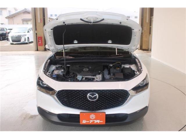 ＣＸ－３０（新潟県新潟市東区）