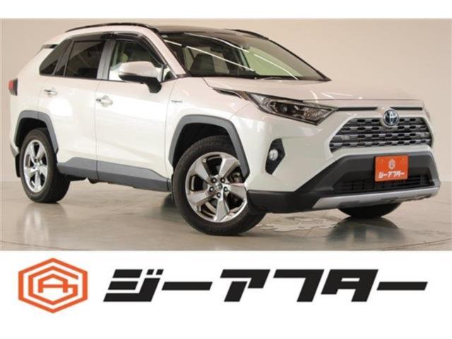 ＲＡＶ４（新潟県新潟市東区）