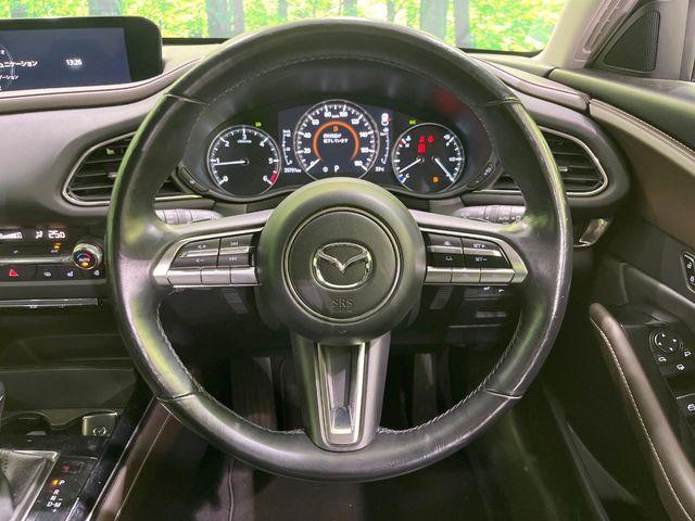 ＣＸ－３０（新潟県長岡市）画像11