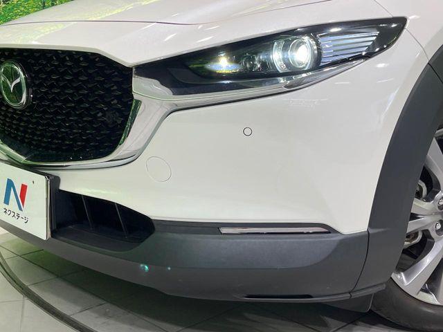 ＣＸ－３０（新潟県長岡市）画像12