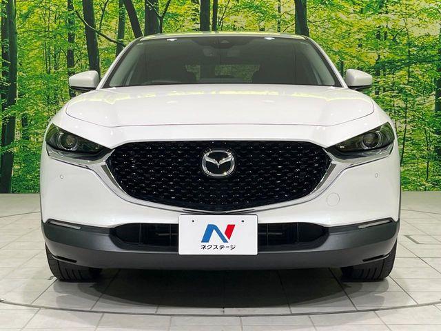 ＣＸ－３０（新潟県長岡市）画像14