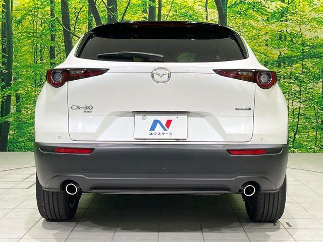 ＣＸ－３０（新潟県長岡市）画像15