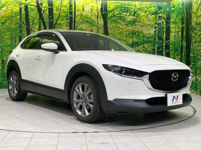 ＣＸ－３０（新潟県長岡市）画像16