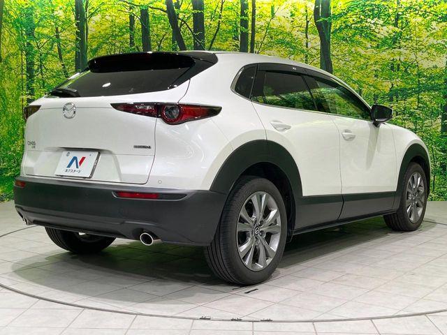 ＣＸ－３０（新潟県長岡市）画像17