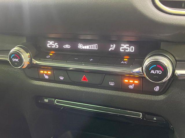 ＣＸ－３０（新潟県長岡市）画像51