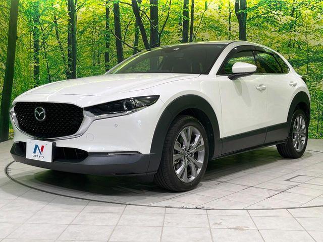 ＣＸ－３０（新潟県長岡市）画像74