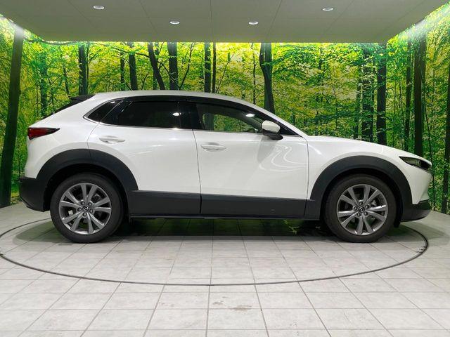 ＣＸ－３０（新潟県長岡市）画像75