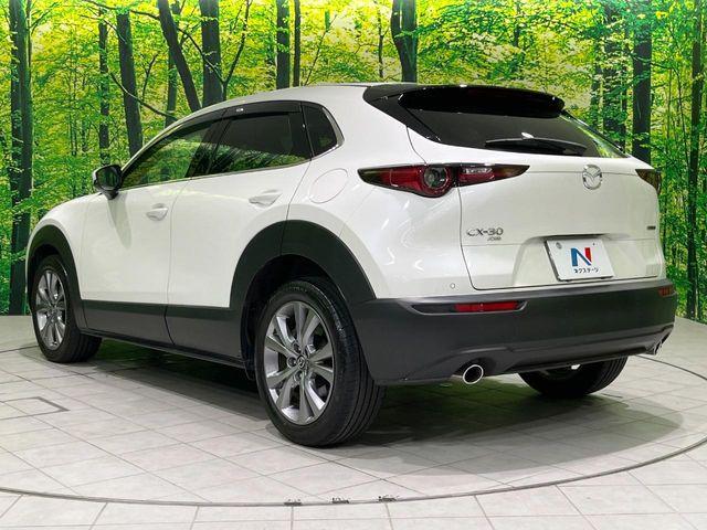 ＣＸ－３０（新潟県長岡市）画像76