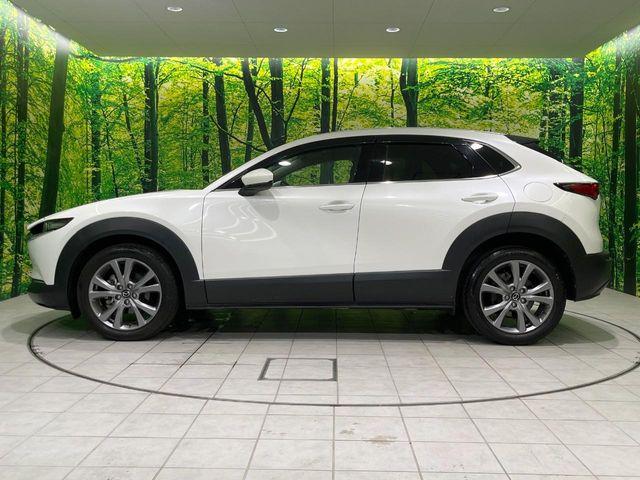 ＣＸ－３０（新潟県長岡市）画像77