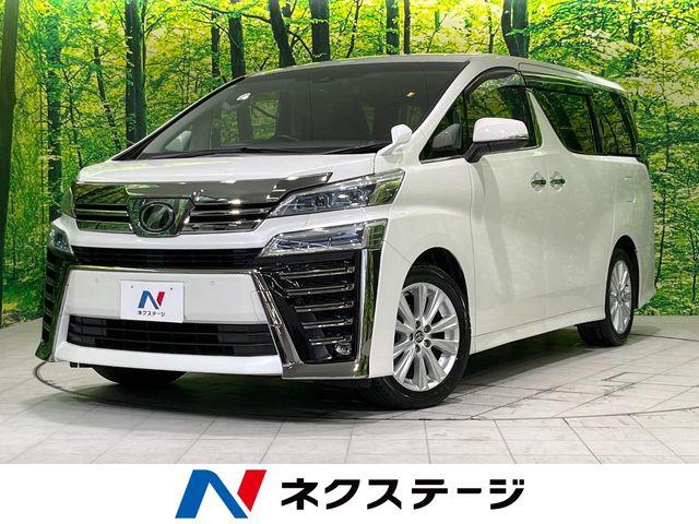 ヴェルファイア（新潟県長岡市）