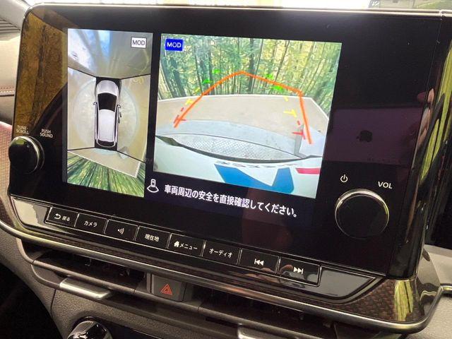 オーラ（新潟県新潟市南区）