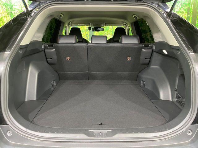 ＲＡＶ４（新潟県長岡市）