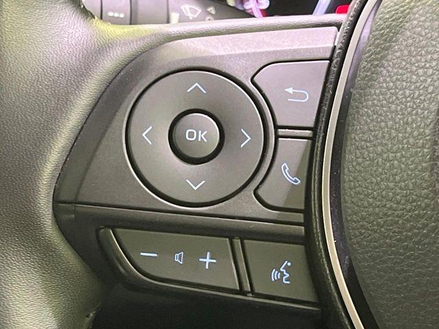 ＲＡＶ４（新潟県長岡市）