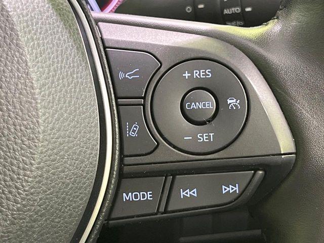 ＲＡＶ４（新潟県長岡市）