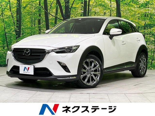 CX-3（新潟県長岡市）