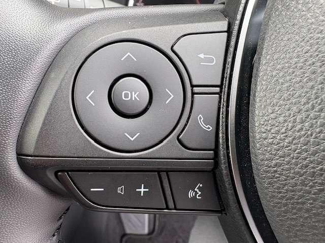 ＲＡＶ４（新潟県柏崎市）画像13