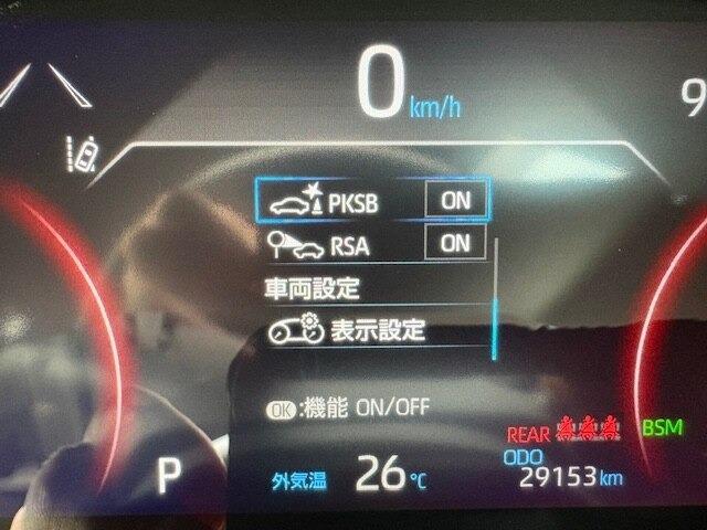 ＲＡＶ４（新潟県柏崎市）画像16