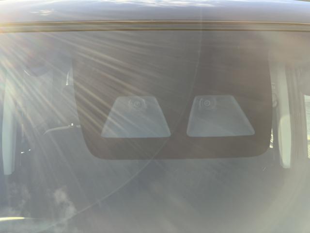 トール（新潟県新潟市西蒲区）画像37