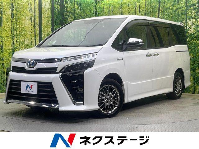 ヴォクシー（新潟県新潟市南区）