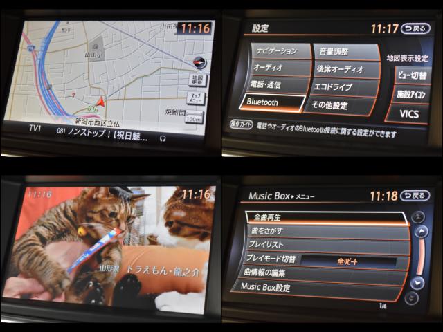 エルグランド（新潟県新潟市西区）