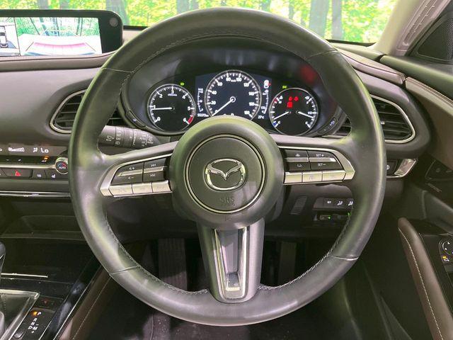 ＣＸ－３０（新潟県長岡市）