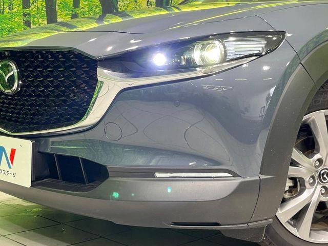 ＣＸ－３０（新潟県長岡市）