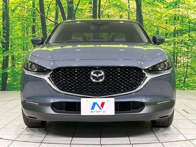 ＣＸ－３０（新潟県長岡市）