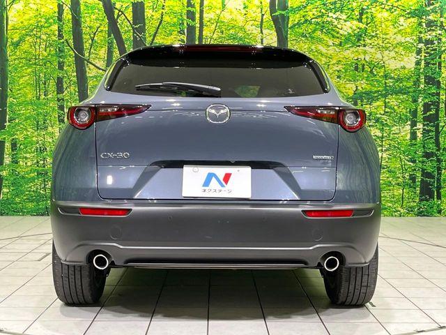 ＣＸ－３０（新潟県長岡市）