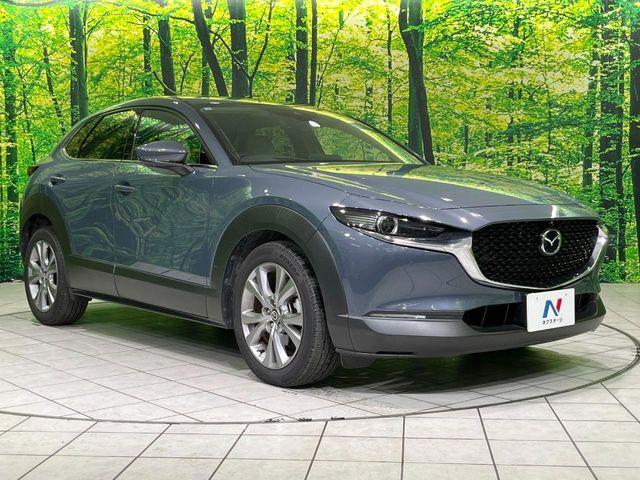 ＣＸ－３０（新潟県長岡市）