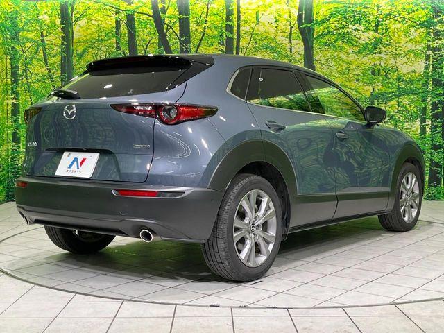ＣＸ－３０（新潟県長岡市）