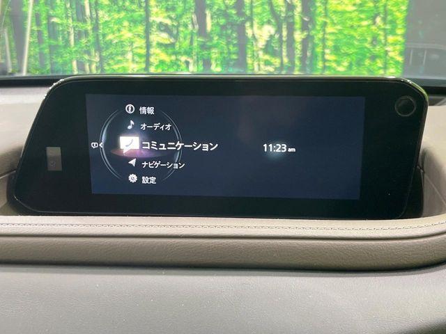 ＣＸ－３０（新潟県長岡市）