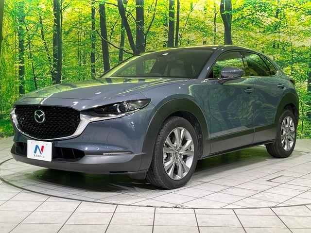 ＣＸ－３０（新潟県長岡市）