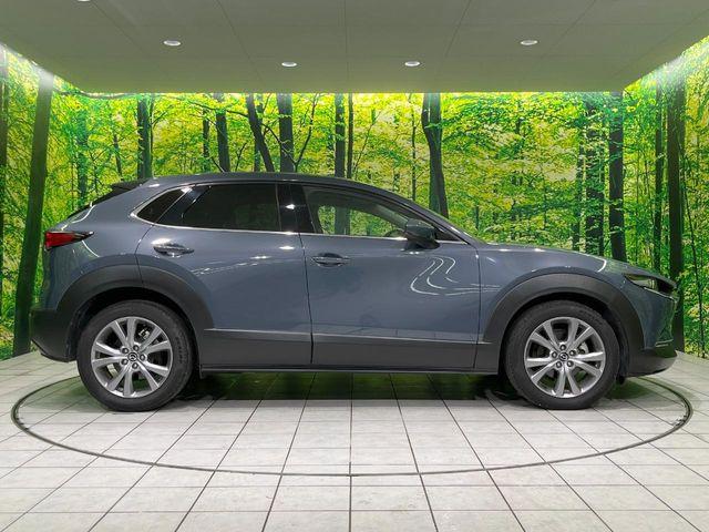 ＣＸ－３０（新潟県長岡市）