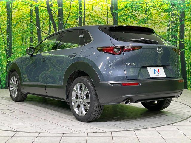 ＣＸ－３０（新潟県長岡市）