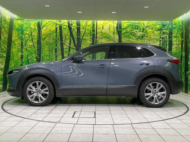 ＣＸ－３０（新潟県長岡市）