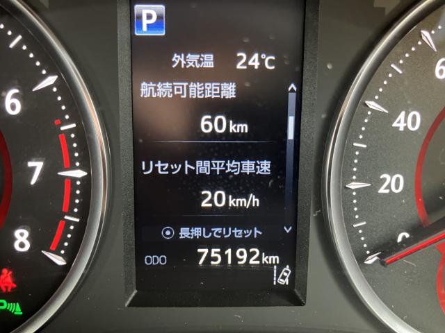 アルファード（新潟県長岡市）