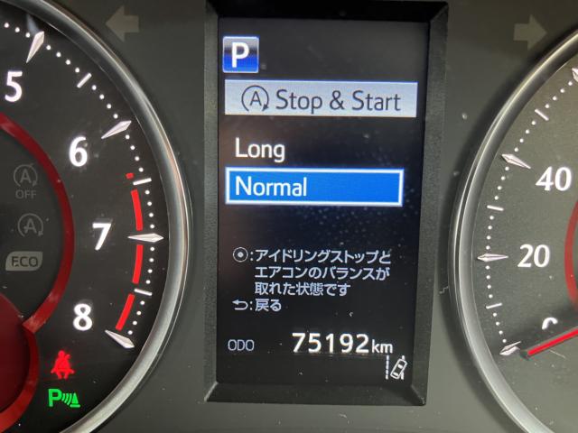 アルファード（新潟県長岡市）